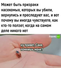 Помню: "Божья коровка, улети на небко..." Не надо было так буквально меня понимать))