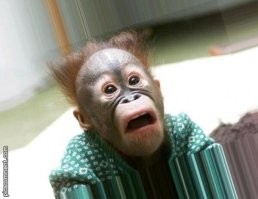 30 фотографий, от которых веет странной жутью