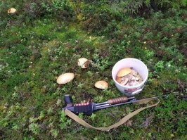 Я за грибами обычно хожу вот так.