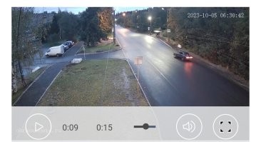 С поворотниками там нормально. 

Но вот поворачивать от обочины...