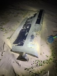 Закрылок это. Наверное не очень приятно найти такое на пляже на самом деле.