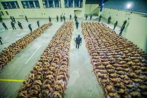 Где-то это оправдано. Во многих странах всё очень запущено с криминалом
