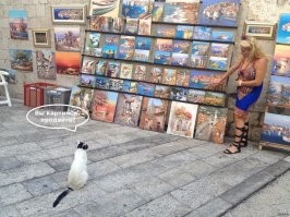 Коты – ценители искусства