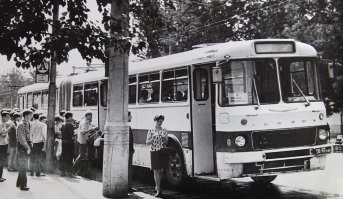 Я сам 1972 г.р. и у нас в Самаре (тогда ещё Куйбышеве) эти гармошки ещё  были!