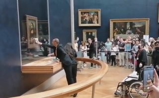 и то - "дураки" тортами кидаются в знак протеста
 (охране приходится убирать следы вандализма)