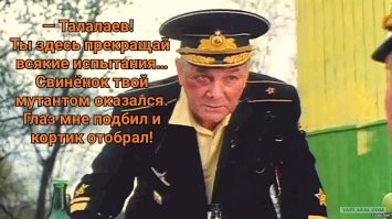 Бабирусса: их клыки растут прямо в мозг и протыкают его