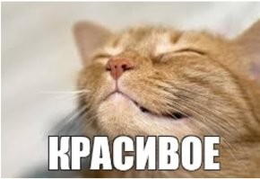 56 редких белых спорткаров Porsche распродадут на аукционе