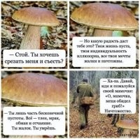 Трогательные грибники