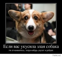 Девушка на своём примере показала, как делать нельзя