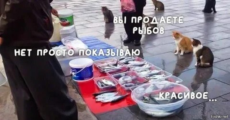 В Казани пассажиры автобуса ждали пока водитель купит рыбу на рынке