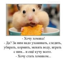 Скрины из соцсетей&nbsp;