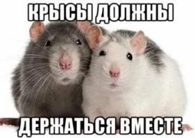 Скрины из соцсетей&nbsp;