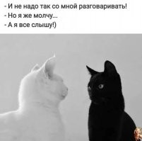 Скрины из соцсетей&nbsp;