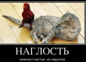 Скрины из соцсетей&nbsp;