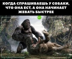 Комментарии и картинки из соцсетей. Свежак за 9 октября