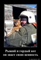 тем временем в России