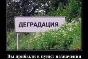 Модные провалы, которые окружающие ещё долго не забудут
