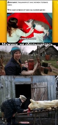 Если за вами ухаживают и кормят, то скорее всего...