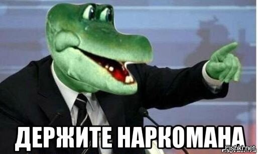 Тяжело в России живётся крокодилам
