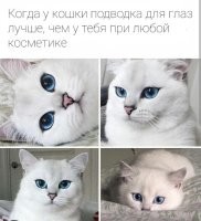 И подводка для носа.