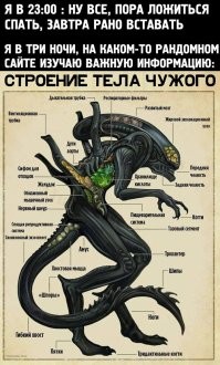 Мастер из Уфы собрал из кусков железа копию «Чужого»