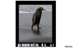 Скрины из соцсетей&nbsp;