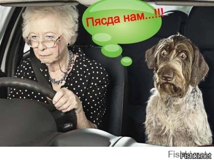 Перепутала педали и давила пока не встретила достойное препятствие