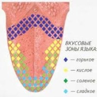 Учился на стоматолога ещё в 70е.
Нам говорили, что:
Сладкое воспринимают рецепторы кончика языка, кислое - его боковые зоны, горькое - корень языка, соленое - кончик языка и его боковые поверхности.