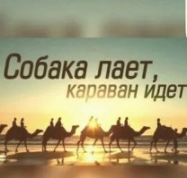 У нас все, что нельзя описано в Уголовном Кодексе. Если быть уж совсем придирчивым - то еще и Административный кодекс. Если эти кодексы претензий к гражданину не имеют то остальные граждане могут засунуть свои претензии туда, куда Уголовный Кодекс не рекомендует. Уже было несколько судов, когда уволенный "по общественному мнению" учитель через суд вздрючивал всех этих блюстителей нравственности. Пару раз еще и статьи о клевете и достоинстве применить смогли, на горе трепачей. Правда, многие учителя не заморачивались с судами - вот "яжматери" и "синие чулки" распоясались. Постепенно все эти "разговорчивые" напорються  сами на статьи УК и станет спокойнее.
