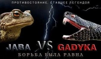 "Стадион, так стадион!": Моргенштерн* потребовал от Собчак интервью в публичном месте и без помощников