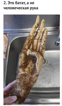 Конечно это не человеческая рука. Мы прекрасно знаем, чья это рука...