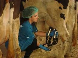 Ага... Только каким образом эти навыки помогут ей в кровати?