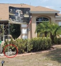 Меня одного смутил череп на фото??