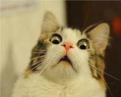 какие яркие разноцветные лампочки