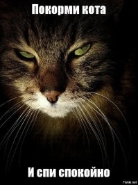 20 эмоциональных мордашек животных, по которым и без слов понятно, что они обо всех нас думают