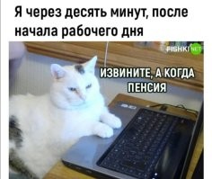 Комментарии и картинки из соцсетей. Свежак за 11 октября