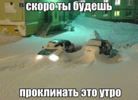 Комментарии и картинки из соцсетей. Свежак за 11 октября