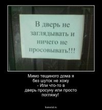 Двуходка: уникальная рептилия, живущая под землёй