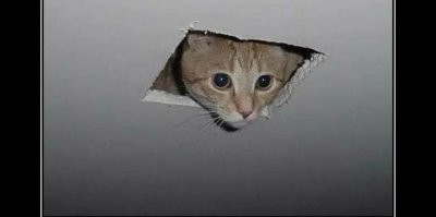 Смекалистые люди, для которых нет проблем, есть только решения