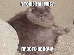 Пушистые охотники за работой