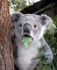 Сообразили на троих