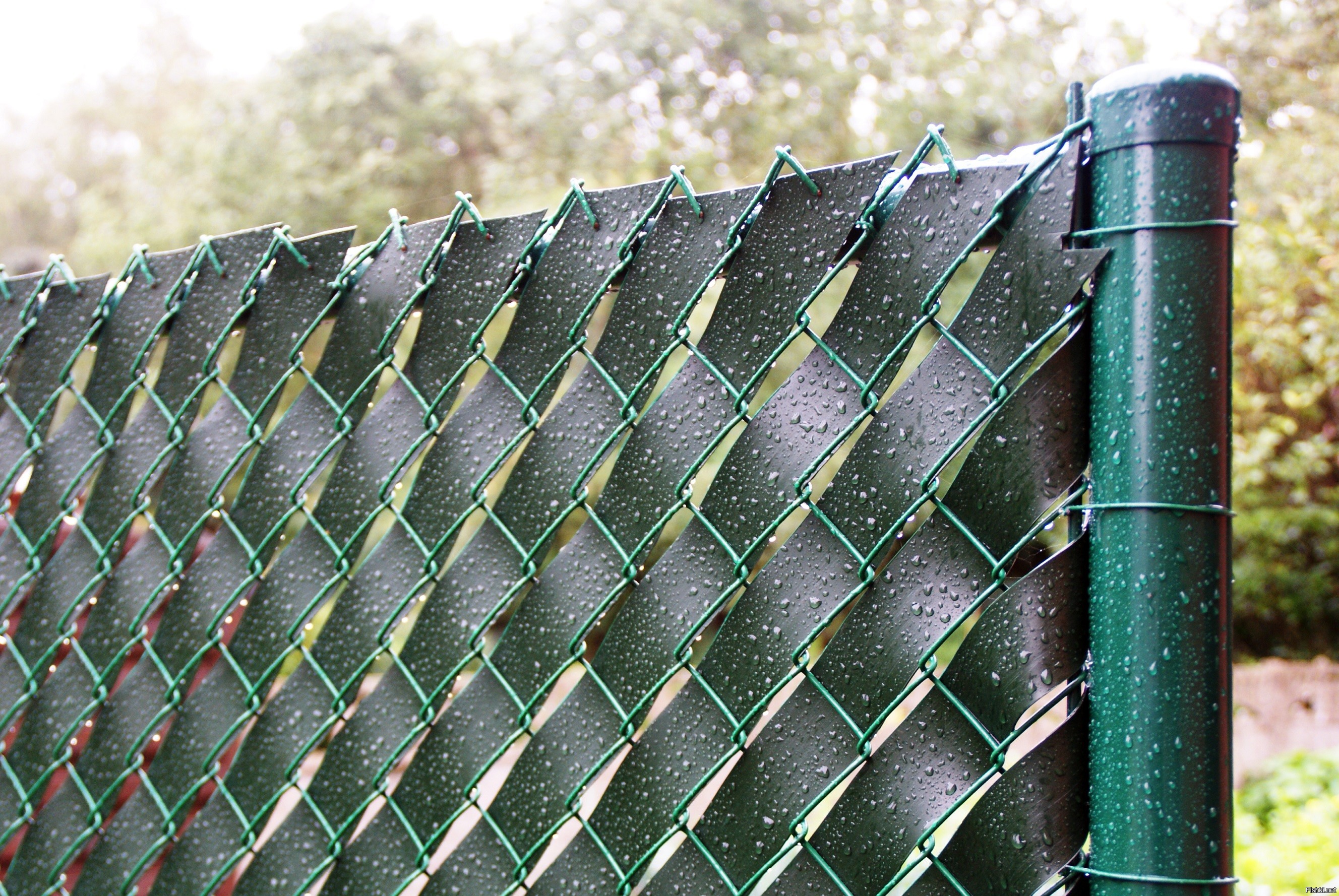 Забор оцинкованной рабицы. Сетка рабица RAL 7005. Забор с сетки рабицы. Сетка для изгороди. Декоративный забор для сетки рабицы.