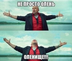 "А вы говорите - разведёнка с прицепом никому не нужна": мать 6-х детей нашла мужа, который всех усыновил