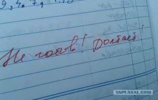 Замечания в школьных дневниках, которые прятали от родителей