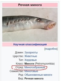 Минога не рыба а отдельный отряд ... двойка по биологии