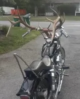 Посмотреть бы, что будет после аварии у этого дятла.