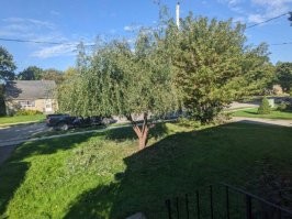 Особенно понравилось в подписи к этому фото слово "пробралась"... Прозвучало,как будто мама замутила военную операцию,преодолевая минные и проволочные заграждения,прокравшись мимо караульных с собаками и индикаторы движения.)