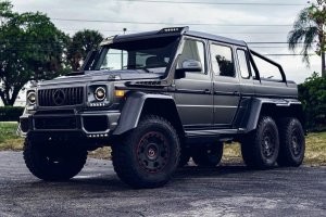На парковке в Великобритании нашли щенка с шестью лапами