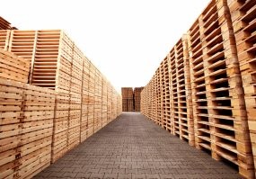 Паллетон же. От слова паллеты.