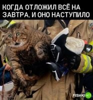 Я хозяин своего слова. Сказал завтра, значит завтра. И нечего мне каждый день об этом напоминать.